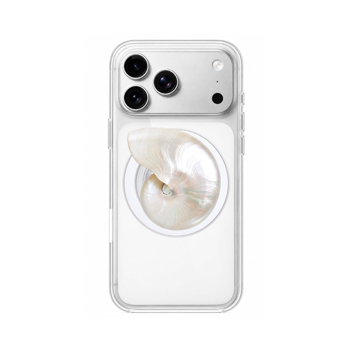 Sea Shell Phone Grip