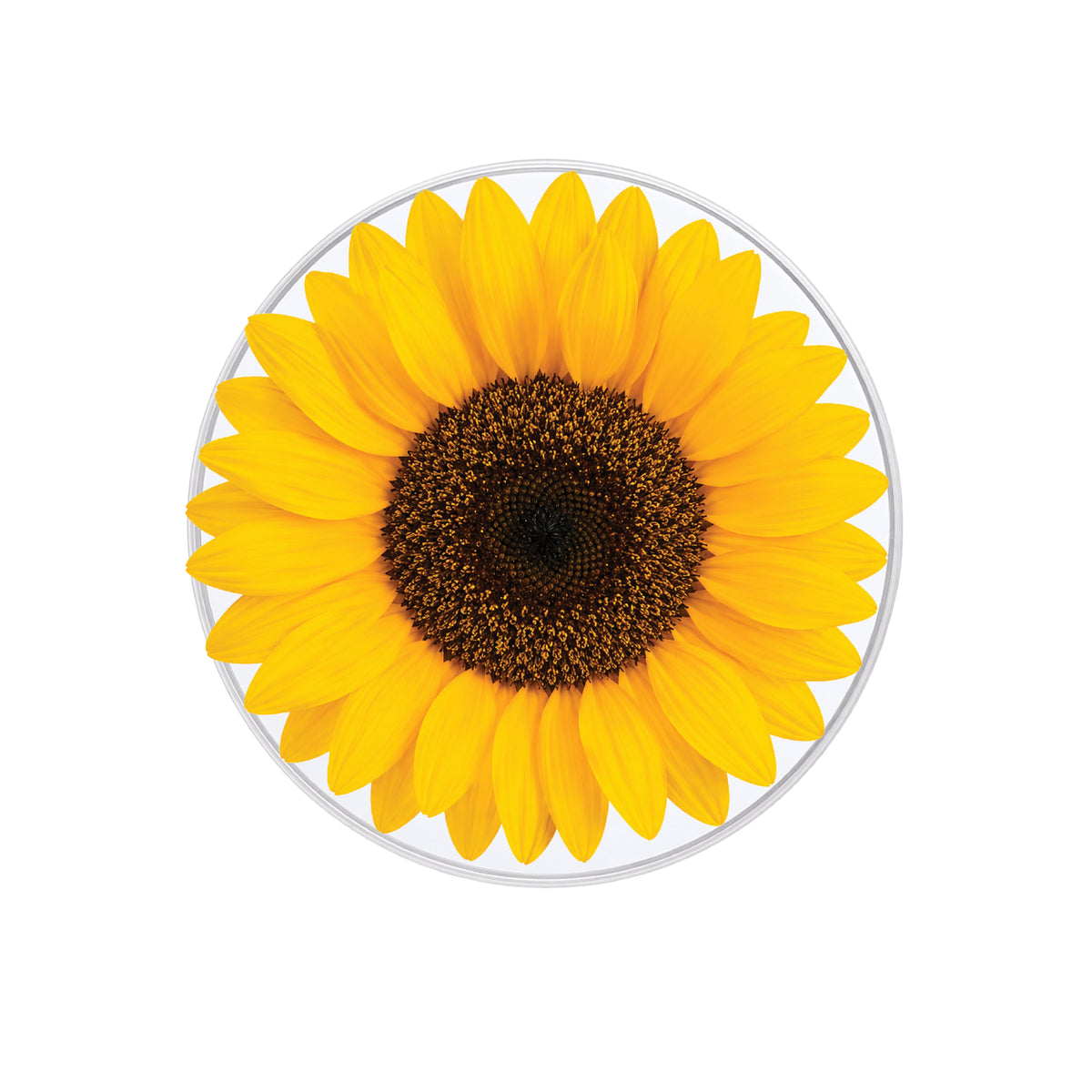 Sunflower Phone Grip