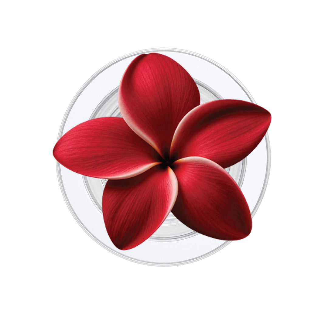 Red Plumeria Phone Grip