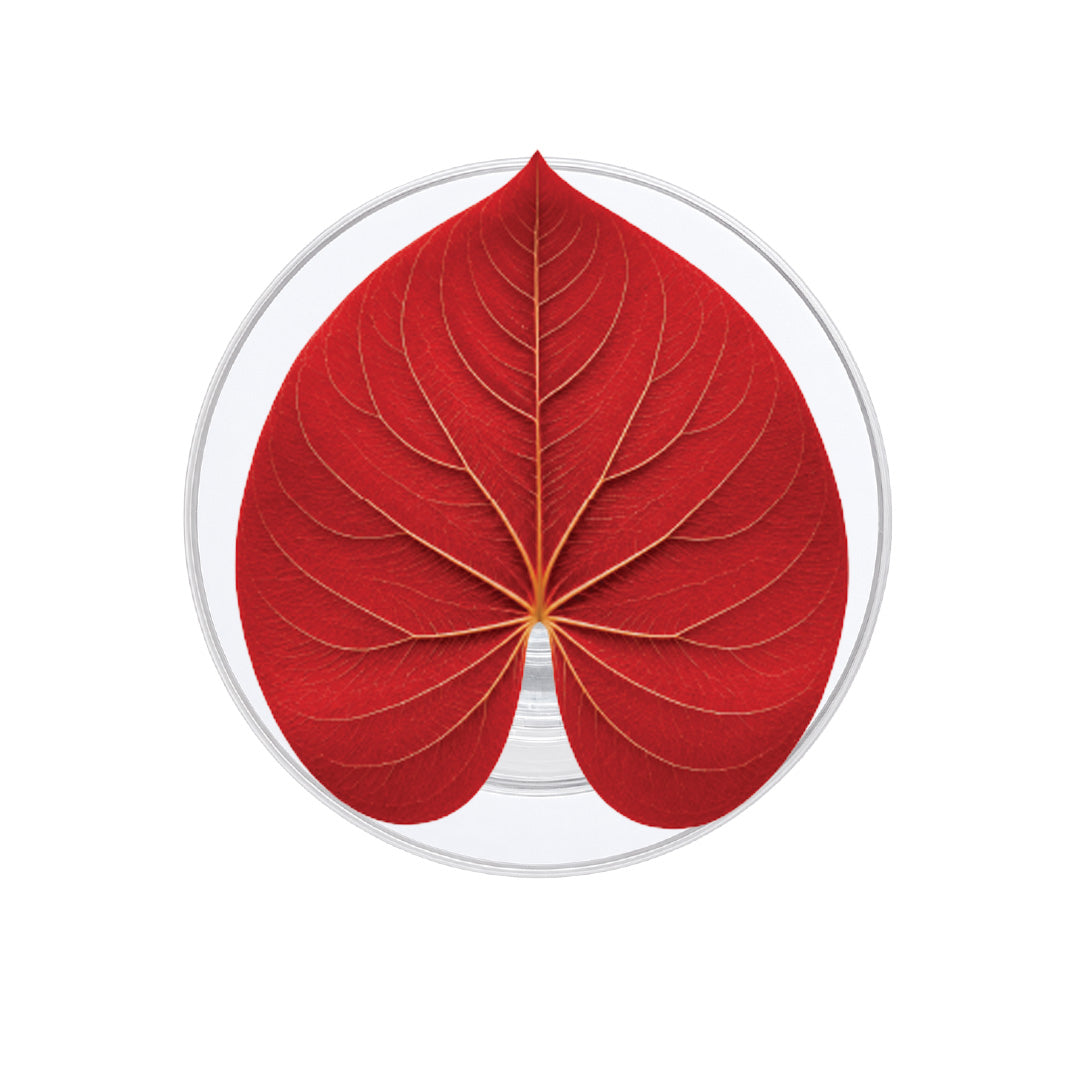 Red Anthurium Phone Grip