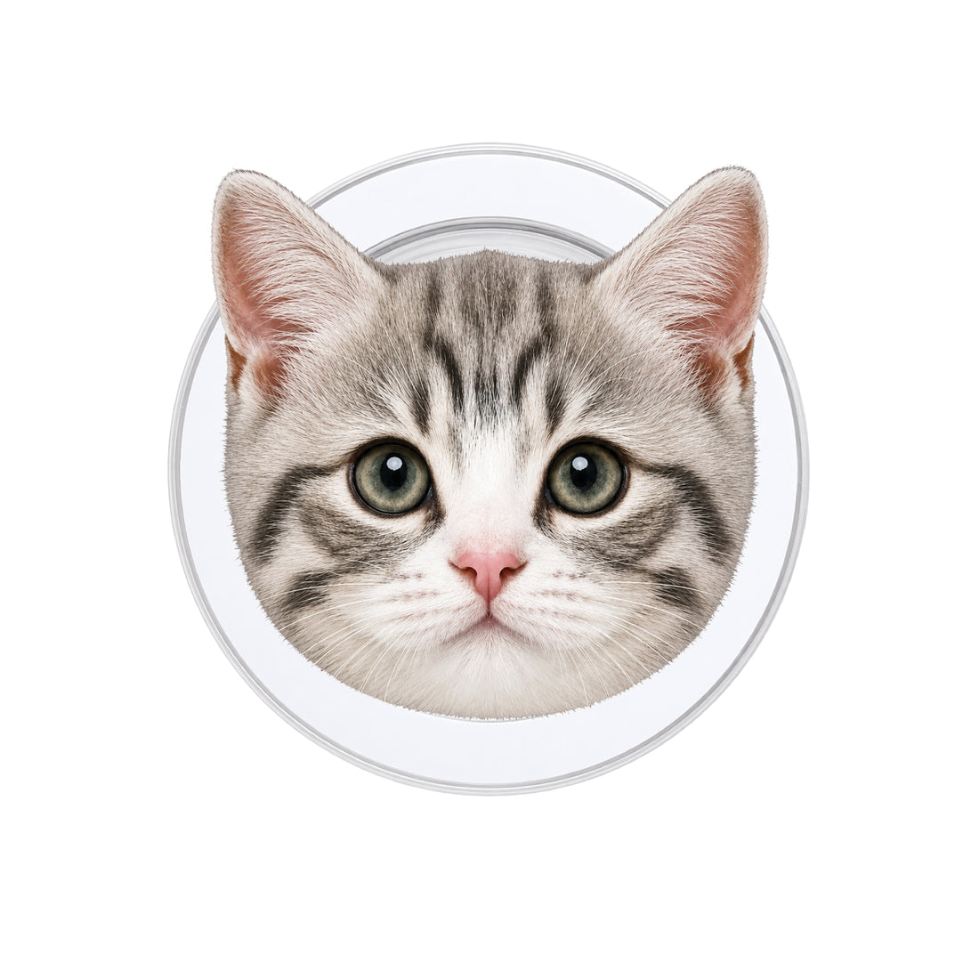 Cute Cat Phone Grip
