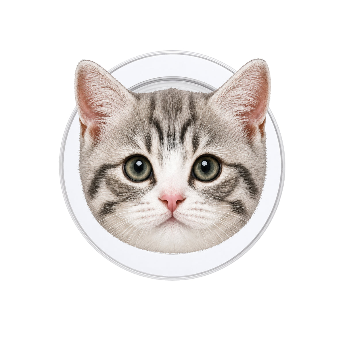 Cute Cat Phone Grip