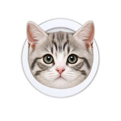 Cute Cat Phone Grip