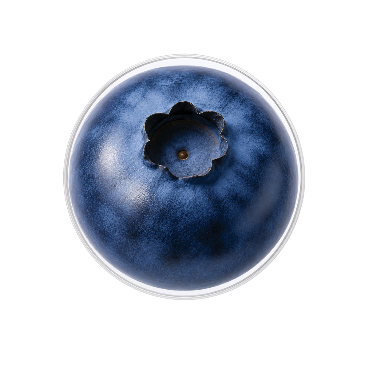 Blueberry Phone Grip