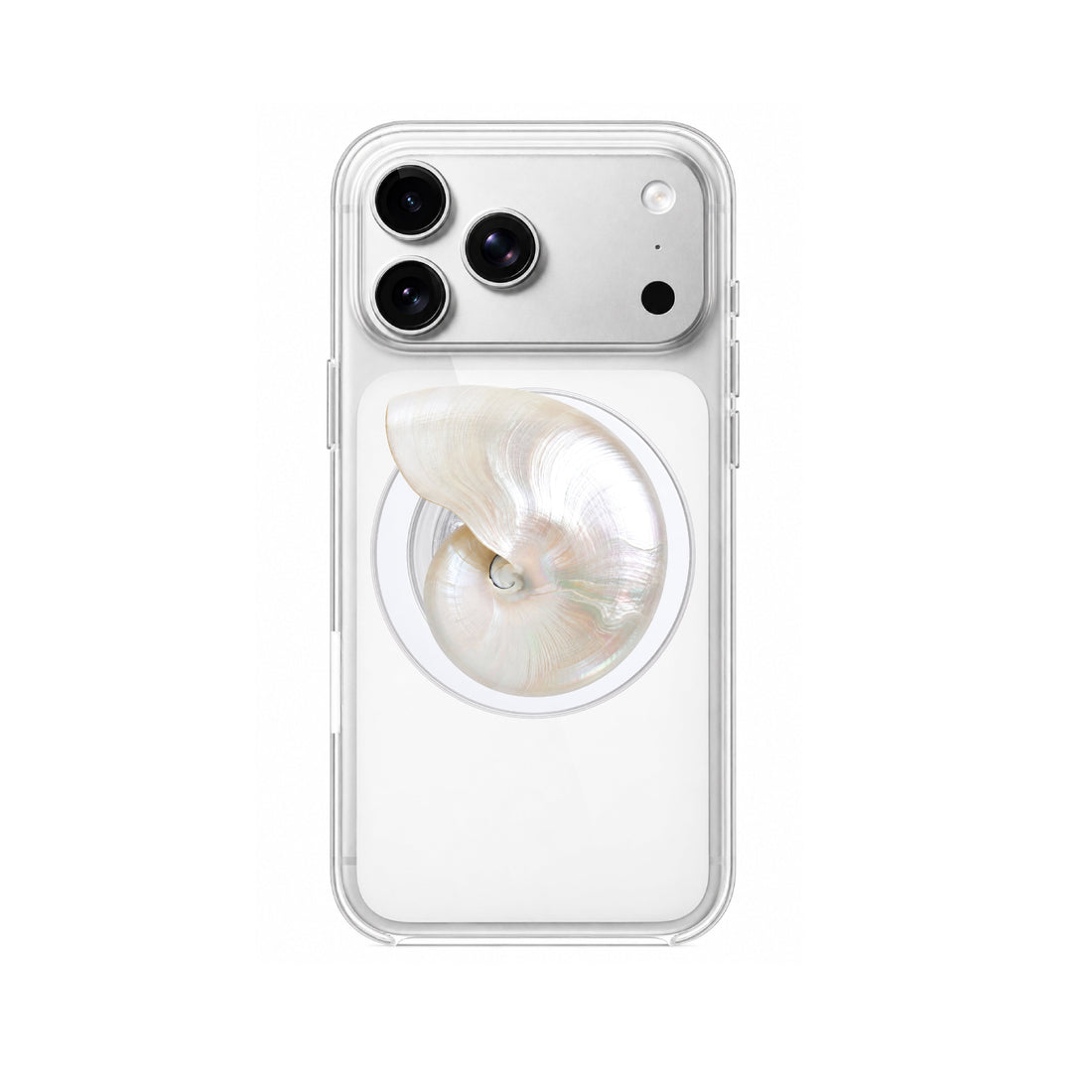 Sea Shell Phone Grip
