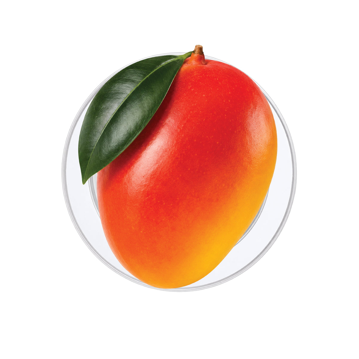 Mango Phone Grip