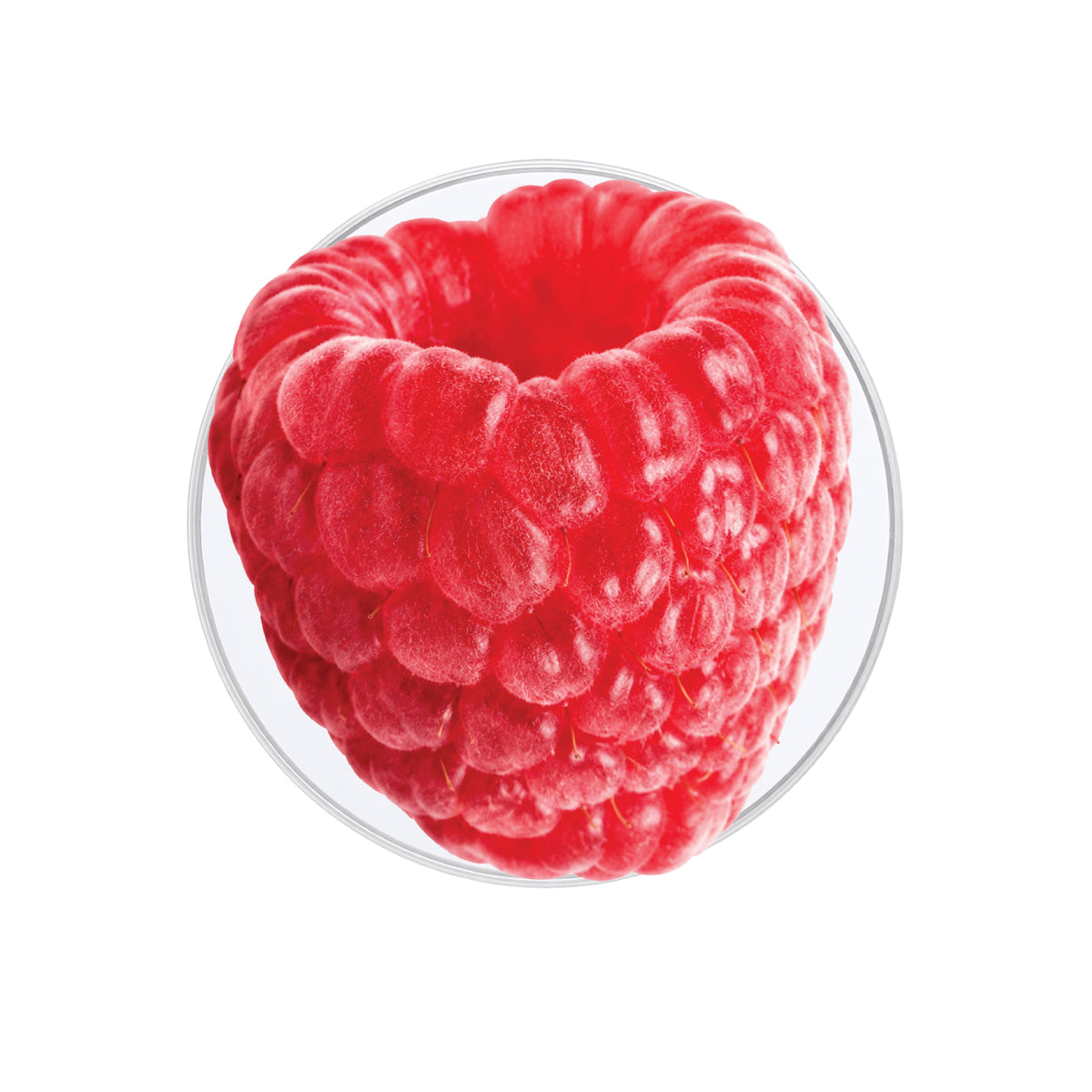 Raspberry Phone Grip