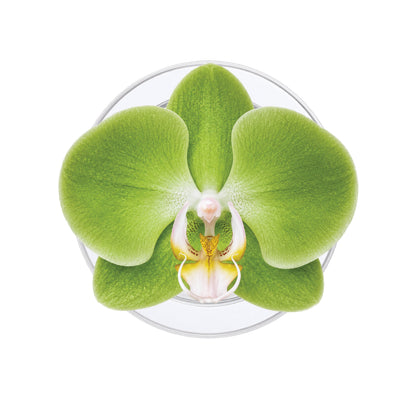 Orchid (Green) Phone Grip